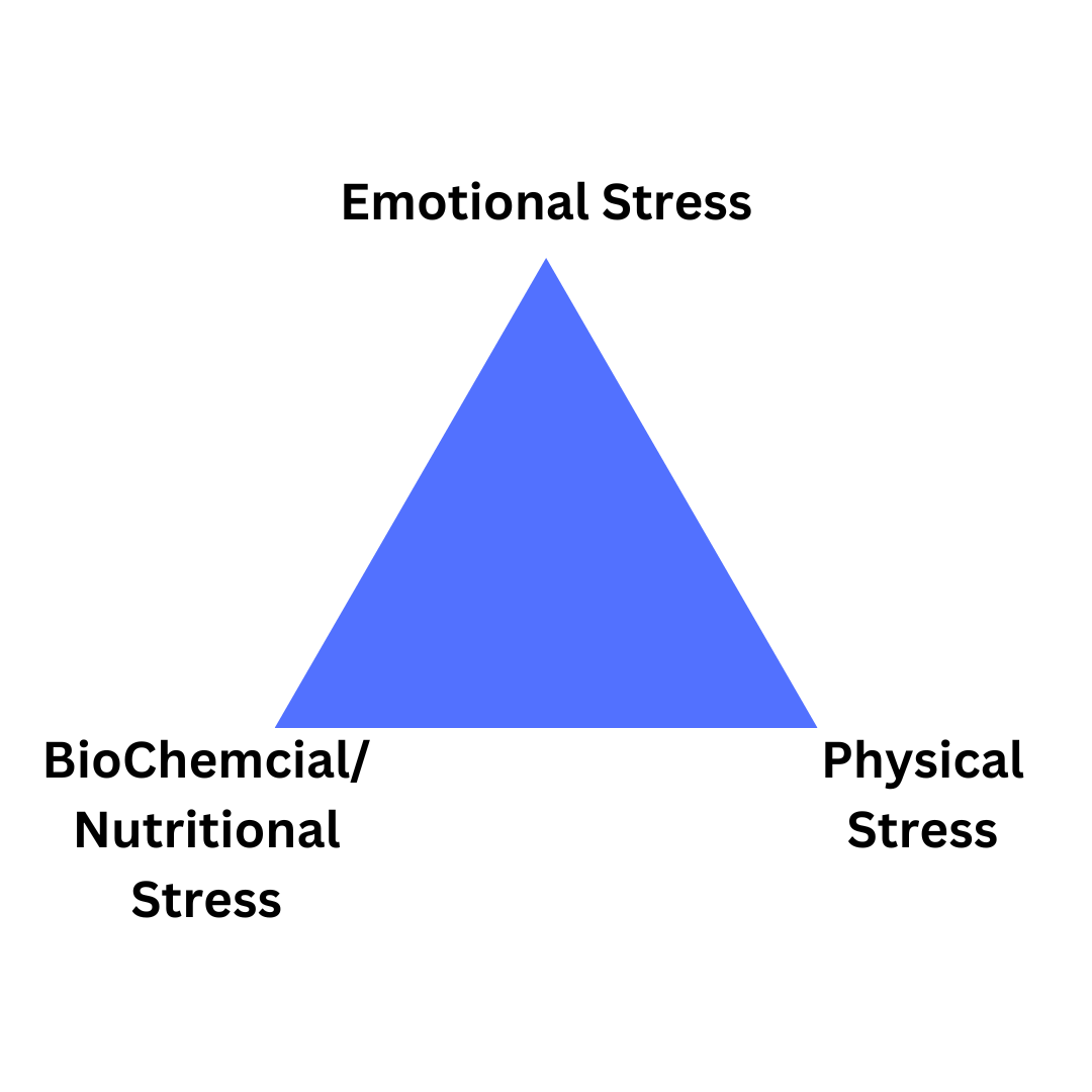 exploring-emotional-stress-and-the-impact-of-net-dr-marcelle