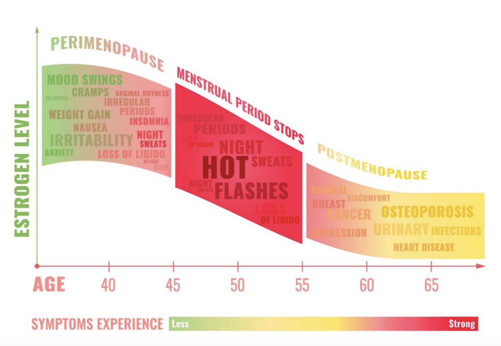 Why understanding the estrogen levels during the menstrual cycle and perimenopause matter. 